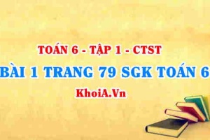Bài 1 trang 79 SGK Toán 6 Chân trời sáng tạo Tập 1